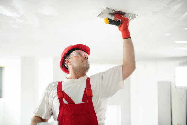 Best Wallpaper Removal and Painting  in Williamstown, KY