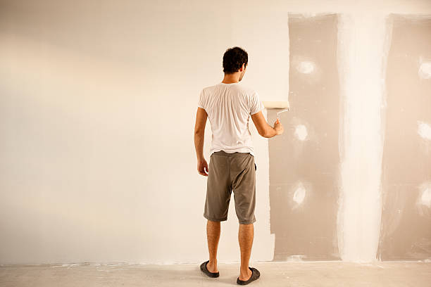 Best Fire-Damaged Drywall Repair  in Williamstown, KY